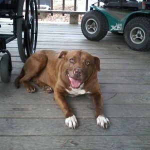 Meet your Posher, Ida